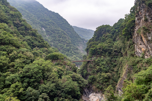 View of the suspension bridge spanning the deep lush forested gorge of Taroko National Park in Xiulin Township Hualien County Taiwan.