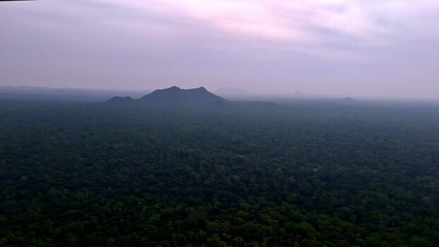 Aerial view of dense tropical jungle and distant mountain Sri Lanka.