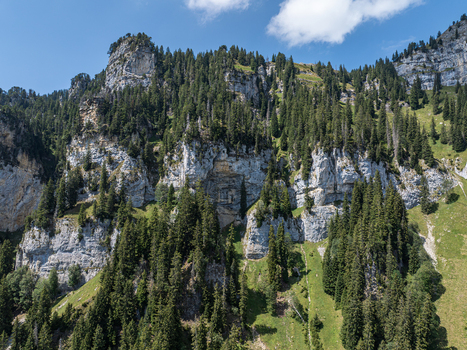 Aerial view of rugged limestone cliffs and dense pine forests in the Justistal valley near the Niederhorn showcasing the dramatic alpine landscape in Sigriswil Bern Switzerland. Aerial view of rugged limestone cliffs and dense pine forests in the Justistal valley near the Niederhorn showcasing the dramatic alpine landscape in Sigriswil Bern Switzerland.