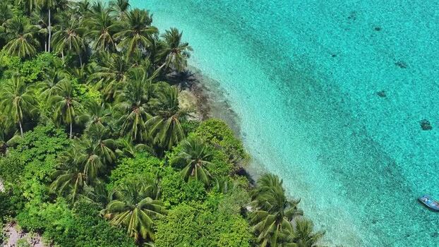 Aerial view of lush palm trees along the turquoise coastline Maldives. Aerial view of lush palm trees along the turquoise coastline Maldives.