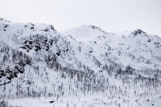 View of snow covered mountain slopes and sparse winter trees under an overcast sky in Ersfjord Troms Norway. View of snow covered mountain slopes and sparse winter trees under an overcast sky in Ersfjord Troms Norway.