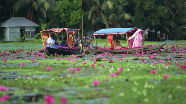 View of people in boats on a water lily pond Bangladesh. View of people in boats on a water lily pond Bangladesh.