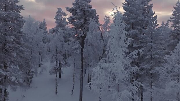 Aerial view of snow covered forest in Luosto Finland.