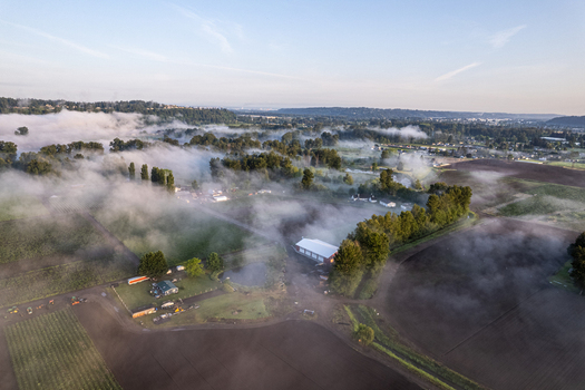 Aerial view of rural farm buildings and green fields shrouded in thick morning fog under a clear sky in Alderton Washington United States. Aerial view of rural farm buildings and green fields shrouded in thick morning fog under a clear sky in Alderton Washington United States.