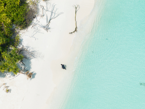 Aerial view of turquoise waters meet the pristine white sands where weathered trees stand guard Thuraakunu Thiladhunmathee Uthuruburi Maldives. Aerial view of turquoise waters meet the pristine white sands where weathered trees stand guard Thuraakunu Thiladhunmathee Uthuruburi Maldives.
