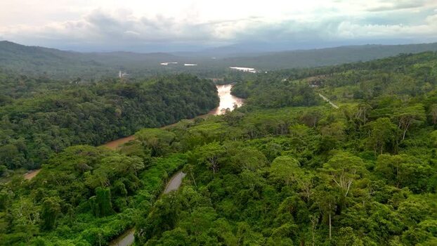 Aerial view of Rio Napo winding through Amazon rainforest Ecuador.