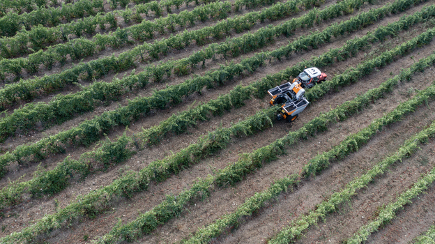 Aerial view of a grape harvester machine working in a lush vineyard with diagonal rows of green vines in Greve in Chianti Tuscany Italy. Aerial view of a grape harvester machine working in a lush vineyard with diagonal rows of green vines in Greve in Chianti Tuscany Italy.