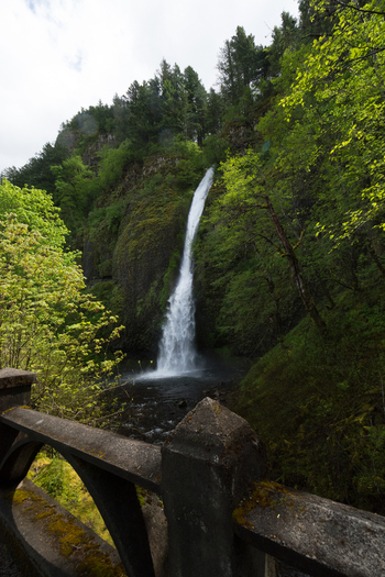 View of Horsetail Falls cascading down a mossy cliff surrounded by lush green forest and viewed from a stone bridge in Hood River Oregon United States.