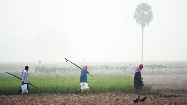 View of farmers walking through a foggy field in Bogura Bangladesh.