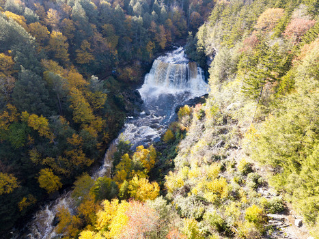 Aerial view of Blackwater Falls surrounded by vibrant autumn foliage in the dense forest of Blackwater Falls State Park in Davis West Virginia United States.