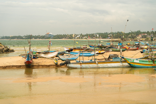 View of traditional colorful fishing boats and outriggers resting on the sandy shore with a palm fringed coastline under an overcast sky Dodanduwa Southern Province Sri Lanka. View of traditional colorful fishing boats and outriggers resting on the sandy shore with a palm fringed coastline under an overcast sky Dodanduwa Southern Province Sri Lanka.