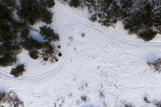 Aerial view of snowy field with winding tire tracks and evergreen trees under bright winter light in Lithuania. Aerial view of snowy field with winding tire tracks and evergreen trees under bright winter light in Lithuania.