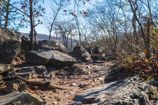View of rugged rocky trail winds through bare trees sunlight dappling the ground in Great Falls National Park Virginia United States Great Falls Virginia United States. View of rugged rocky trail winds through bare trees sunlight dappling the ground in Great Falls National Park Virginia United States Great Falls Virginia United States.