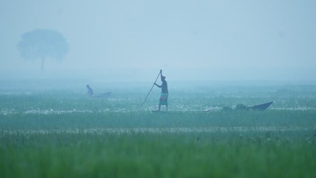 View of a fisherman standing on a boat in a misty wetland Bangladesh.