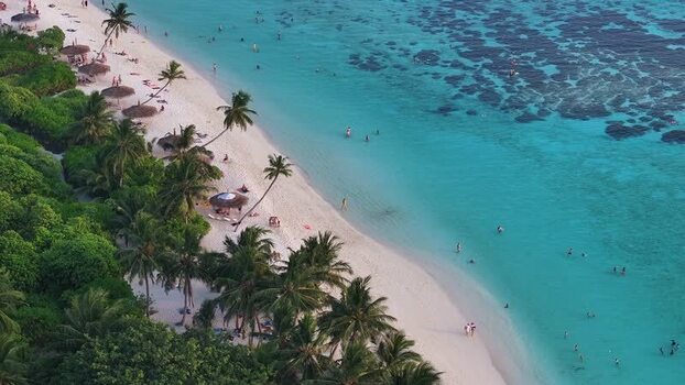 Aerial view of a tropical beach with palm trees and coral reefs Maldives. Aerial view of a tropical beach with palm trees and coral reefs Maldives.