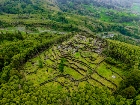Aerial view of terraced landscapes meeting lush forests with dark soil contrasting the vibrant greenery of Cascata da Ribeira do Ferreiro Flores Azores Portugal.