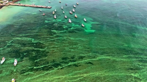 Aerial view of fishing boats in turquoise waters Sri Lanka.