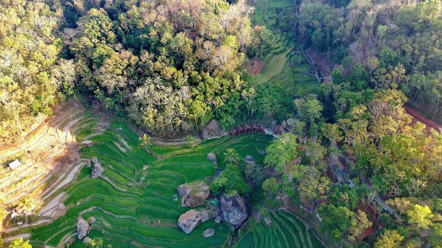 Aerial view of the lush green rice terraces at Gubuk Watuadeg surrounded by dense forest and large boulders in Kecamatan Dlingo Daerah Istimewa Yogya Indonesia.