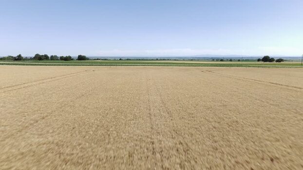 Aerial view of wheat field in Novi Sad Serbia. Aerial view of wheat field in Novi Sad Serbia.