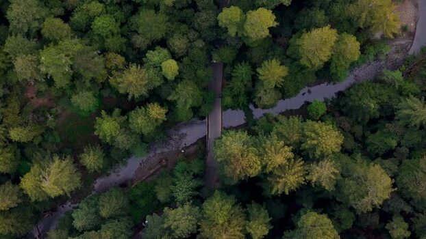 Aerial view of a bridge over a river in a dense forest United States. Aerial view of a bridge over a river in a dense forest United States.