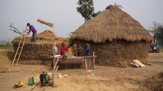 View of farmers working with haystacks in rural Patna India.