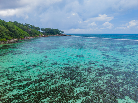 Aerial view of the turquoise waters meet the lush green coastline creating a vibrant contrast under the expansive sky Anse Royale Mahe Island Seychelles. Aerial view of the turquoise waters meet the lush green coastline creating a vibrant contrast under the expansive sky Anse Royale Mahe Island Seychelles.