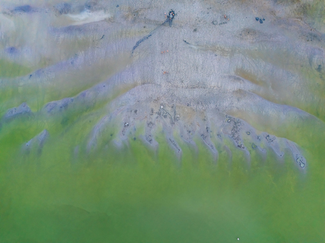 Aerial view of Monkey Island and receding Lake Balaton shore at summer dusk Aerial view of Monkey Island and receding Lake Balaton shore at summer dusk