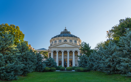 View of the Romanian Athenaeum a neoclassical concert hall with a dome and columns set within a park with evergreen trees under a clear blue sky in Bucharest Bucharest Romania.