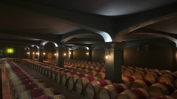 View of a wine cellar with rows of barrels France.