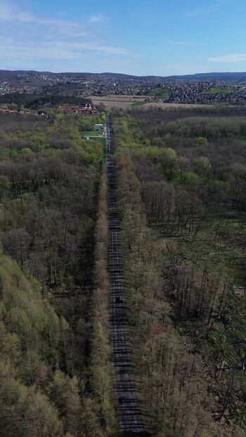 Aerial view of road going through the forest Hungary.