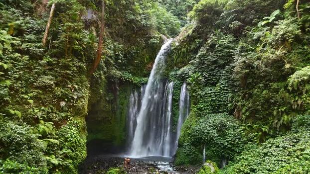 Aerial view of Tiu Kelep Waterfall Indonesia.