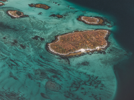 Aerial view of small islands with autumn foliage surrounded by clear turquoise water in Senja Troms Norway.