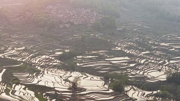 Aerial view of Yuanyang rice terraces China.