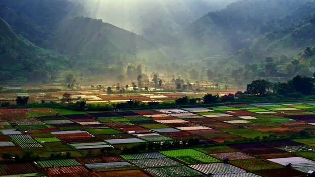 Aerial view of agricultural fields in a valley Indonesia.