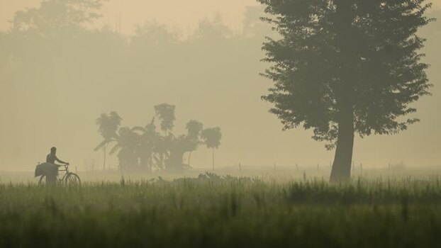 View of a man with a bicycle in a misty field in Bogura Bangladesh. View of a man with a bicycle in a misty field in Bogura Bangladesh.