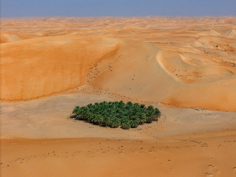 Aerial view of the Bateen Liwa oasis with lush green palm trees nestled among vast orange sand dunes in Al Dhafra Region Abu Dhabi United Arab Emirates. Aerial view of the Bateen Liwa oasis with lush green palm trees nestled among vast orange sand dunes in Al Dhafra Region Abu Dhabi United Arab Emirates.