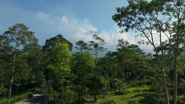 Aerial view of lush forest and Mount Merapi Indonesia.
