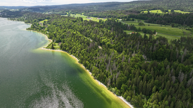Aerial view of the serene Lac de Joux s shoreline where emerald waters meet lush forests under a vast sky Le Lieu Vaud Switzerland.