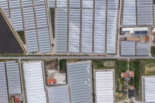 Aerial view of vast greenhouse complexes and agricultural polytunnels arranged in geometric patterns along a rural road in Paestum Campania Italy.