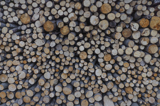 View of a large stack of cut firewood logs with various textures and circular patterns in Hallstatt Upper Austria Austria. View of a large stack of cut firewood logs with various textures and circular patterns in Hallstatt Upper Austria Austria.