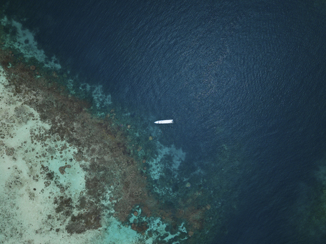 Aerial view of a boat floating on the contrasting dark blue sea alongside the lighter turquoise shore of Cemara Kecil Snorkeling Spot Karimunjawa Central Java Indonesia.