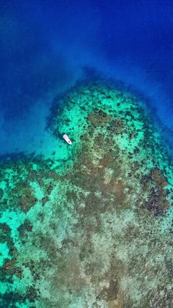 Aerial view of a boat over a coral reef in Guanaja Honduras. Aerial view of a boat over a coral reef in Guanaja Honduras.