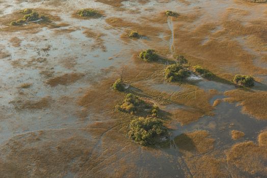 Aerial view of the Okavango Delta with its intricate network of water channels small islands with lush vegetation and golden marsh grasses in Maun North West District Botswana. Aerial view of the Okavango Delta with its intricate network of water channels small islands with lush vegetation and golden marsh grasses in Maun North West District Botswana.