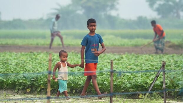 View of children walking through a vegetable field Bangladesh.