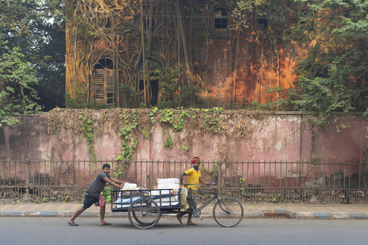 Kolkata India 05 December 2024 View of men pulling a cart along a street juxtaposed against an old weathered building draped in vines and foliage. Kolkata India 05 December 2024 View of men pulling a cart along a street juxtaposed against an old weathered building draped in vines and foliage.