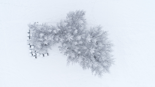 Aerial view of snow covered trees and hay bales in a winter landscape in Latvia. Aerial view of snow covered trees and hay bales in a winter landscape in Latvia.