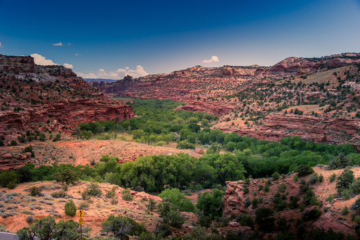 View of a lush green canyon floor surrounded by towering red rock cliffs and desert vegetation under a clear blue sky in Utah United States.
