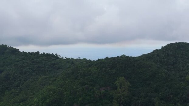 Aerial view of Trou Aux Cerfs volcano in Curepipe Mauritius.