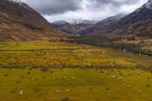 Aerial view of sheep grazing in a vast valley with stone walls and snow capped mountains under a dramatic cloudy sky Scotland United Kingdom. Aerial view of sheep grazing in a vast valley with stone walls and snow capped mountains under a dramatic cloudy sky Scotland United Kingdom.