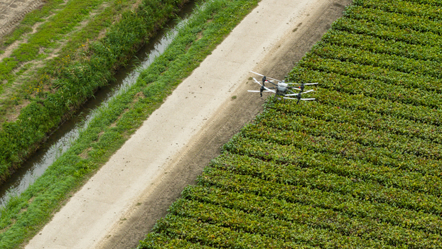 Aerial view of an agricultural drone flying over a lush green crop field next to a dirt path and irrigation canal in Zeewolde Flevoland Netherlands. Aerial view of an agricultural drone flying over a lush green crop field next to a dirt path and irrigation canal in Zeewolde Flevoland Netherlands.